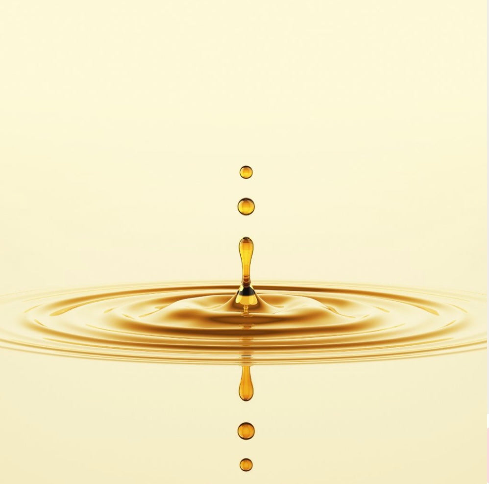 Why Ingredients Matter: A Look Inside Clean, Organic Body Care