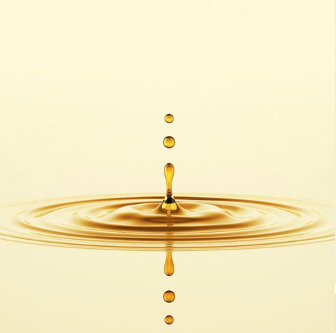 Why Ingredients Matter: A Look Inside Clean, Organic Body Care